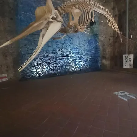 La Casa Di Nonna Carmelina Lägenhet Milazzo